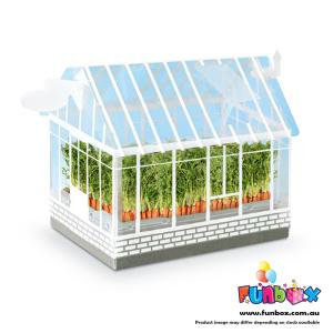 Funbox DIY Vegetable Greenhouse Planting Kit