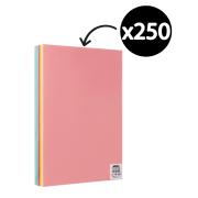 Winc Premium Coloured Cover Paper A3 160gsm 10 Assorted Colours Pack 250