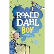 Boy. Author  Roald Dahl