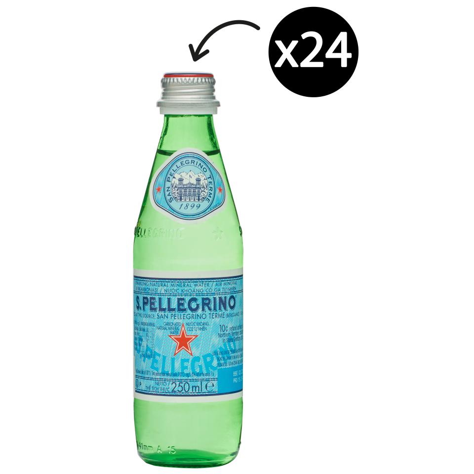 Sanpellegrino Sparkling Mineral Water 250ml Carton 24 Winc 5439