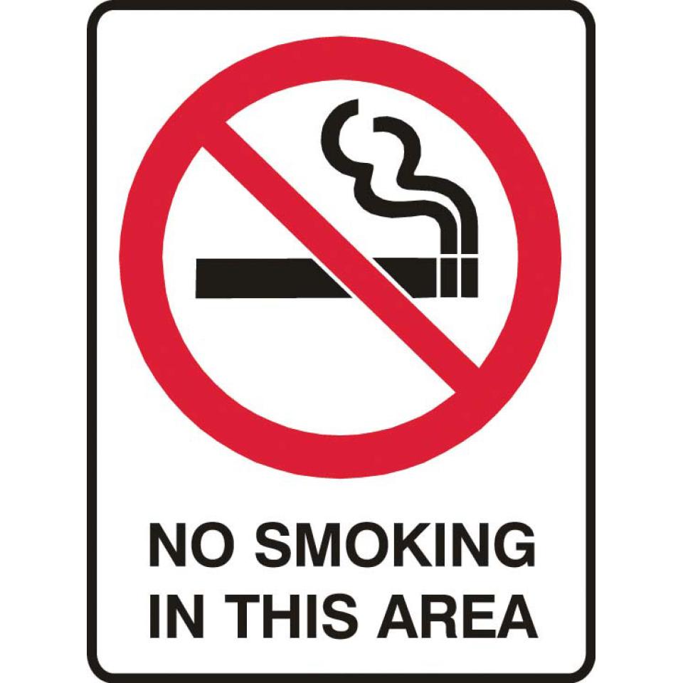 Brady 835191 Sign No Smoking In This Area Polypropylene 450X300mm Each