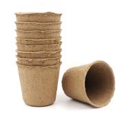 Arbee Seed Pots Bio Paint Your Own 30 Pieces