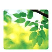 Fellowes Recycled Mouse Pad Green Leaves