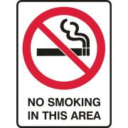 Brady 841089 Sign No Smoking In This Area Polypropylene 225X300mm Each
