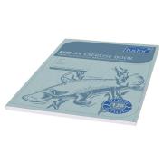 Tudor Eco Exercise Book 128 Pages A4 Blue Platypus