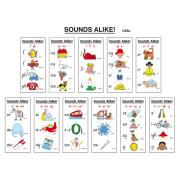 Learning Can Be Fun Sounds Alike Teacher Pack