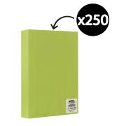 Winc Premium Coloured Cover Paper A4 160gsm Pastel Green Pack 250