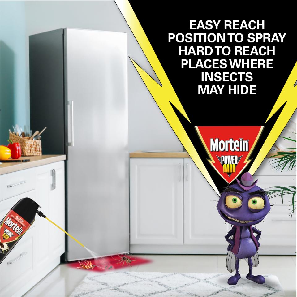 Mortein Powergard Easy Reach Crawling Insect Surface Spray 350g | Winc