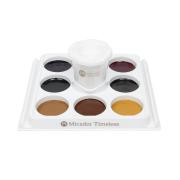 Micador Timeless Easy Flow Watercolour Paint Winter Selection Disc 8