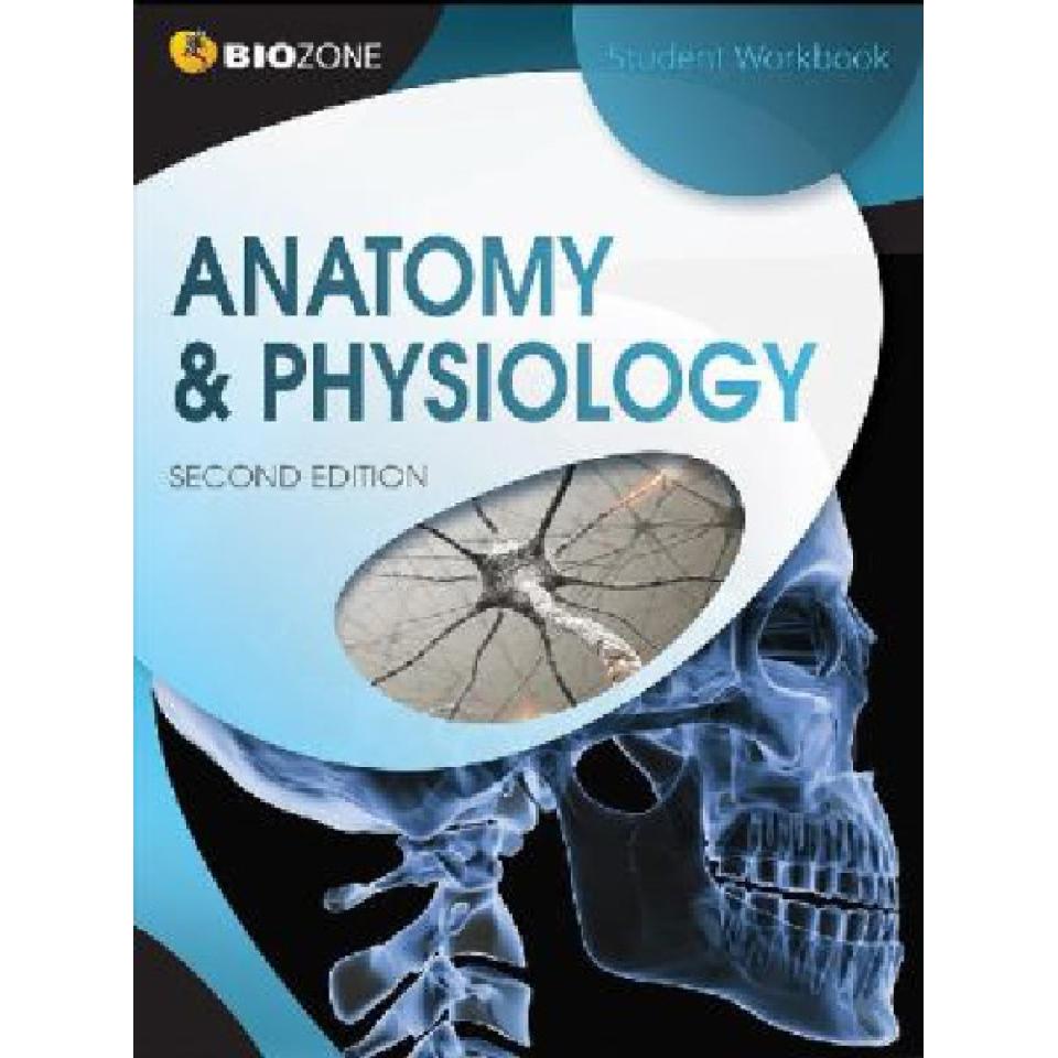 Anatomy And Physiology Student Workbook 2nd Ed | Winc