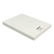 DigiTuff Synthetic Specialty Heavy Frost Film A4 260gsm 195ums Pack 100
