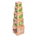 Thumbnail image of Freckled Frog Lifecycle Wooden Blocks