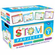 Stem Projects Year 2
