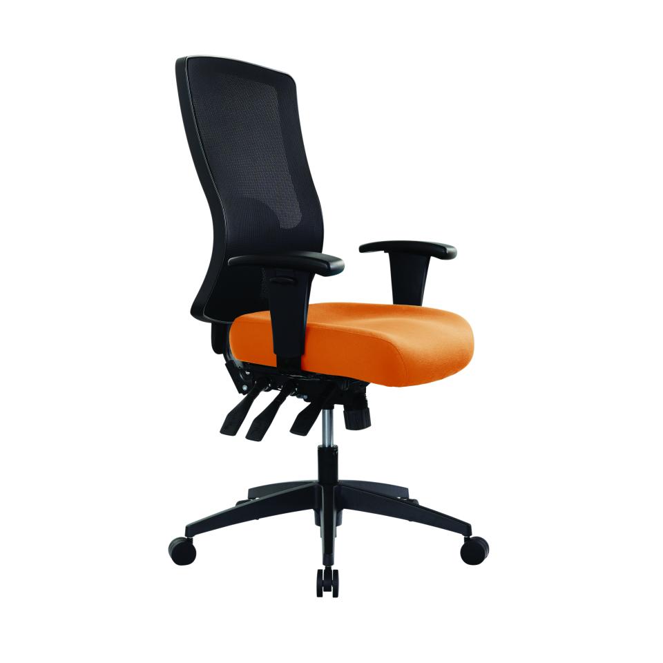Mandura Bunjil Mesh Back Task Chair