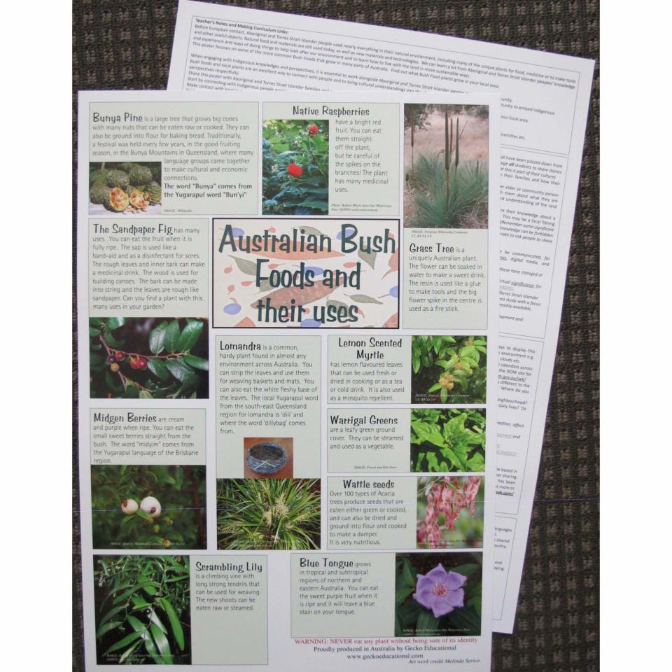 Kurrajong Aboriginal Products Bush Food Poster A3 Double Sided 30 x 42cm