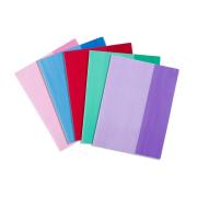 Contact Book Sleeves Assorted Tinted A4 Pack 25