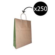 Castaway Paper Carry Bag Twisted Handles Brown 420x320x110mm Carton 250