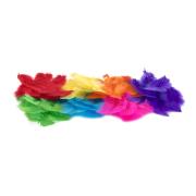 Colorific Feathers Large Assorted Colours 30g