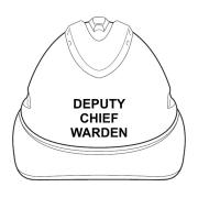 Deputy Chief Warden Hard Hat - White