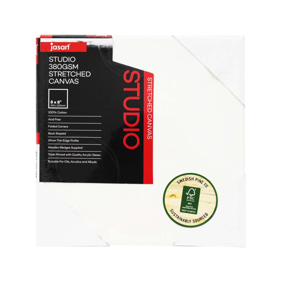 Jasart Studio Canvas 3/4inch Thin Edge 20 x 16 Inch Image