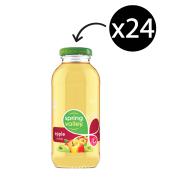 Spring Valley Apple Juice 300ml Carton 24