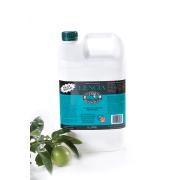Oates Research Lencia Geca Certified Bathroom Cleaner 5 Litre