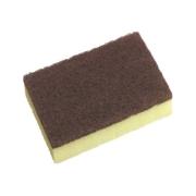 Oates Nylon Scouring Sponge No.910 Industrial Pack 10