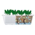 Thumbnail image of Twigz Planter Box