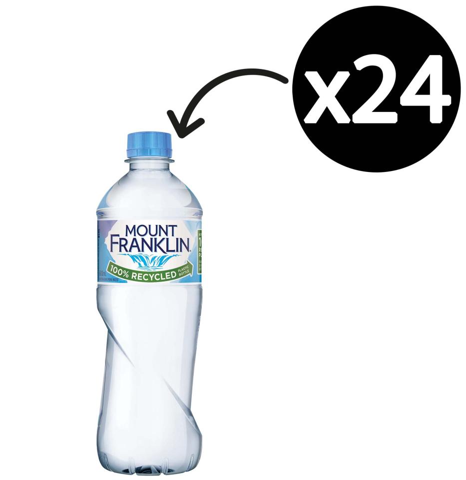 Mount Franklin Water 600ml Carton 24 Winc