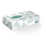 Sorbent Professional Silky White Facial Tissues 2 Ply 100 Sheets Each 