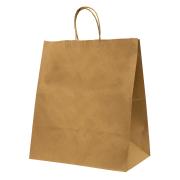 Paper Carry Bag Medium Twisted Handles Brown Carton 250