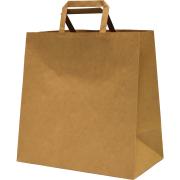 Paper Carry Bag Medium Flat Paper Handles Brown Carton 200