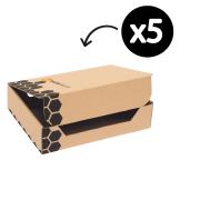 Marbig Enviro Transfer Box A4 Pack 5