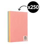Winc Premium Coloured Cover Paper A4 160gsm 10 Assorted Colours Pack 250