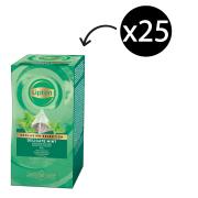 Lipton Exclusive Selection Delicate Mint Tea Bags Pack 25