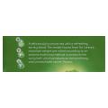 Thumbnail image of Lipton Green Tea Pack 100