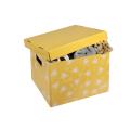 Thumbnail image of Marbig Enviro We Mean Green Sto-Away Archive Box Honeybee Yellow Pack 4