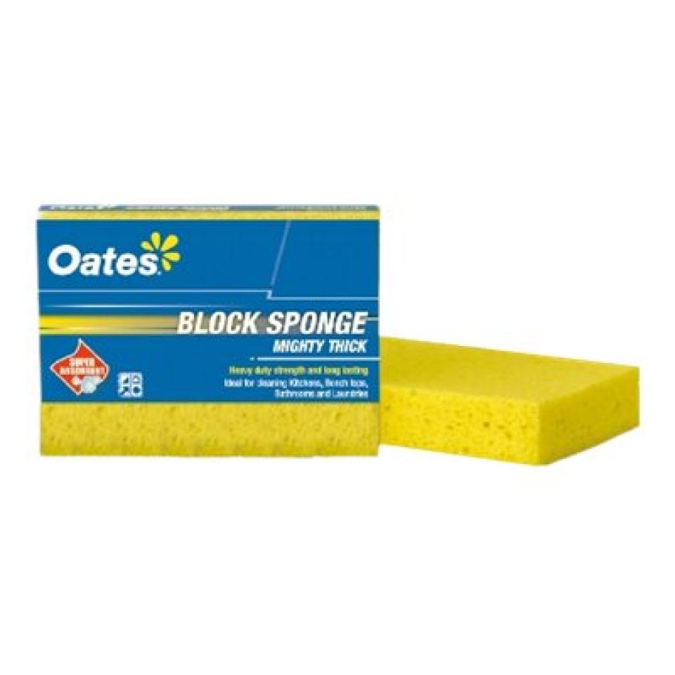 Sp-018 Thick Block Sponge 15x11x3cm | Winc