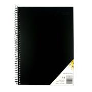Quill Swva4 Visual Art Diary Spiral A4 110gsm 120 Page