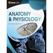 Anatomy And Physiology Student Workbook 2nd Ed