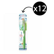 Diaguru Seasonal Toothbrush Green Autumn Soft Dupont Nylon Bristles Box 12
