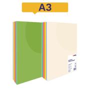 Winc Premium Coloured Cover Paper A3 120gsm 10 Assorted Colours Ream 500