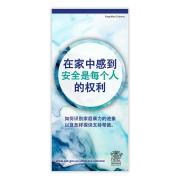 DCSY Cald Dfv Brochure - Simplified Chinese Each