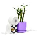 Thumbnail image of Who Gives A Crap Premium 100% Bamboo Toilet Paper White Carton 48