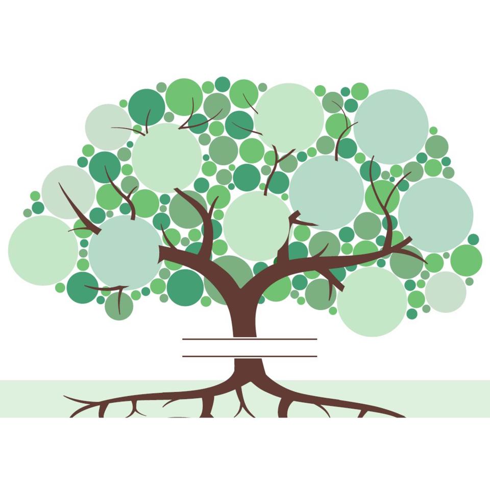 Quill Family Tree A3 300gsm Board Pack 10 | Winc