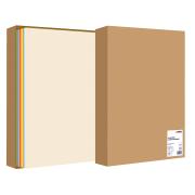 Winc Premium Coloured Cover Paper 510x640 200gsm 10 Assorted Pack 100