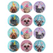 Australian Teaching Aids Happy Birthday Pets Foil Photo Merit Stickers Pack 48