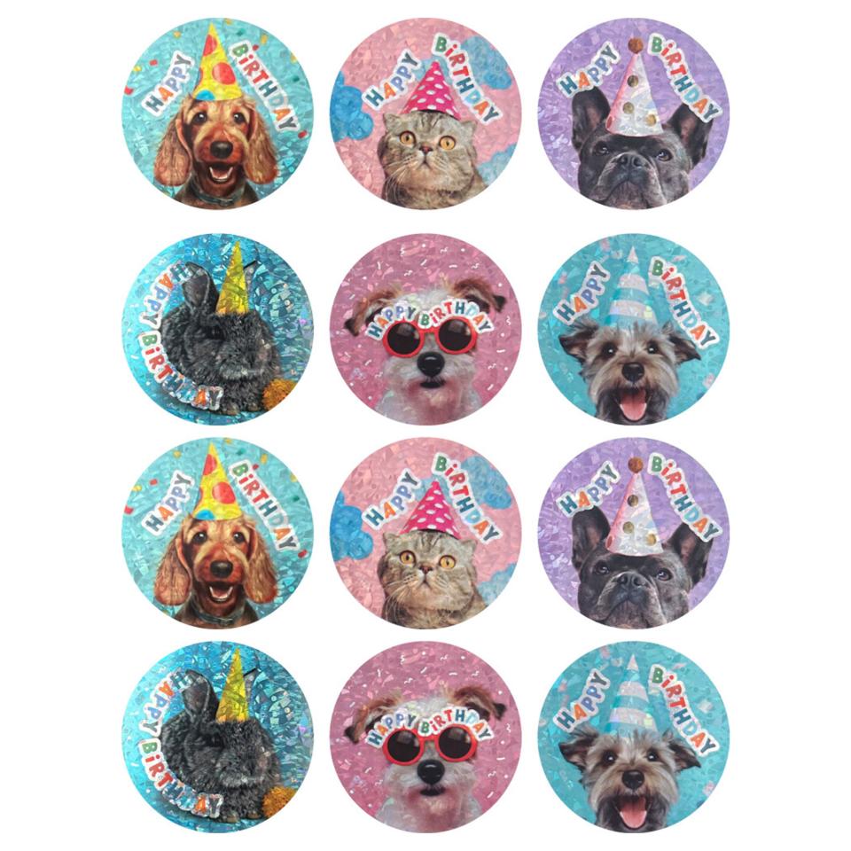 Australian Teaching Aids Happy Birthday Pets Foil Photo Merit Stickers Pack 48 Image