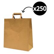 Paper Carry Bag Large Flat Paper Handles Brown Carton 250