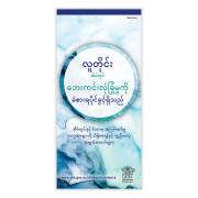 DCSY Cald Dfv Brochure - Burmese Each